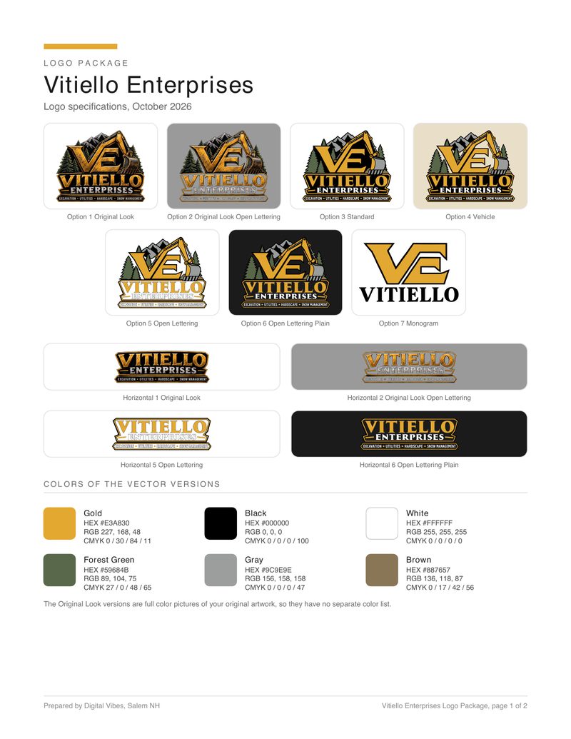 Vitiello Enterprises logo package